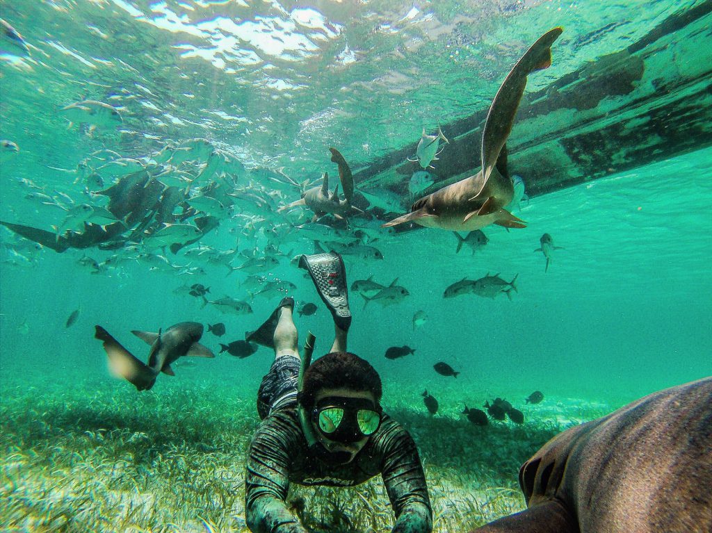 Snorkeling in the Caribbean