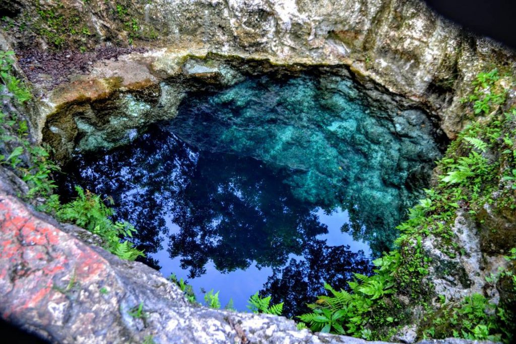 Cenotes near Cancun, Puerto Morelos, and the Riviera Maya